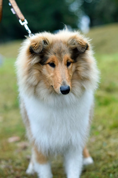 BeHappy Branlico Wroclaw