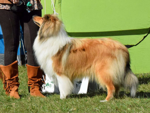 Branlico BEHAPPY wroclaw 2018