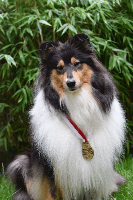 Cola wystawa Wroclaw