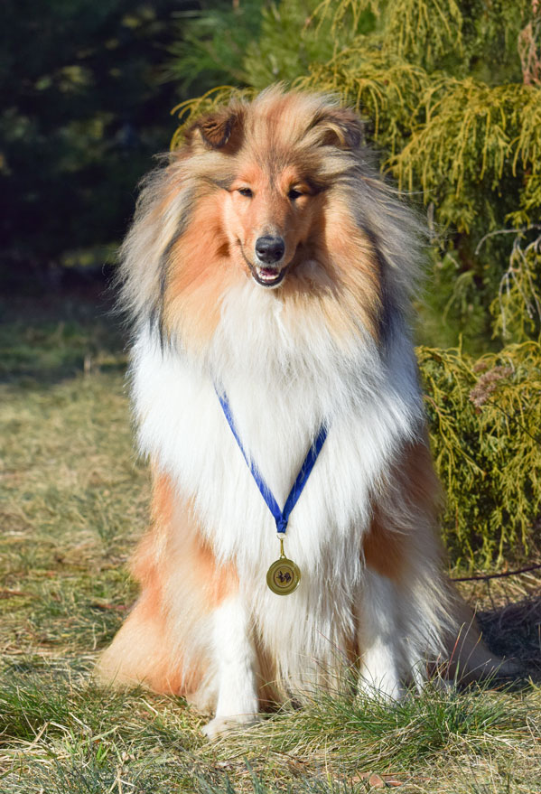 Vela najlepszy junior w klasie